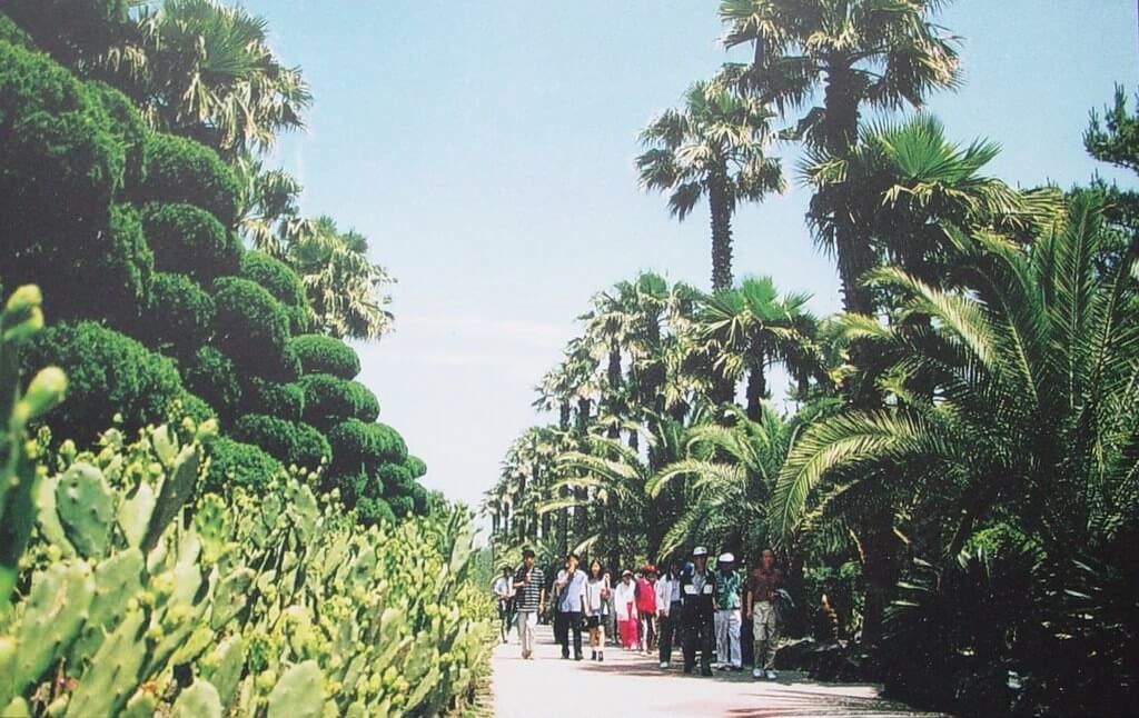Ein Foto das den Hallim Park zeigt. Einen botanischen Garten auf der Insel Jeju mit diversen Themengarten und subtropischen Ambiente.