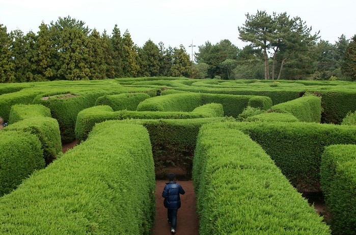 Der Gimnyeong Maze Park ist ein Irrgarten der Spaß für groß und Klein verspricht. Durch hohe Hecken sucht man sich seinen Weg zum Ausgang am anderen Ende.