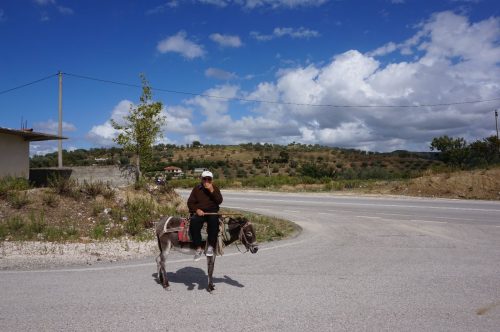 Mann in Albanien auf einem Esel